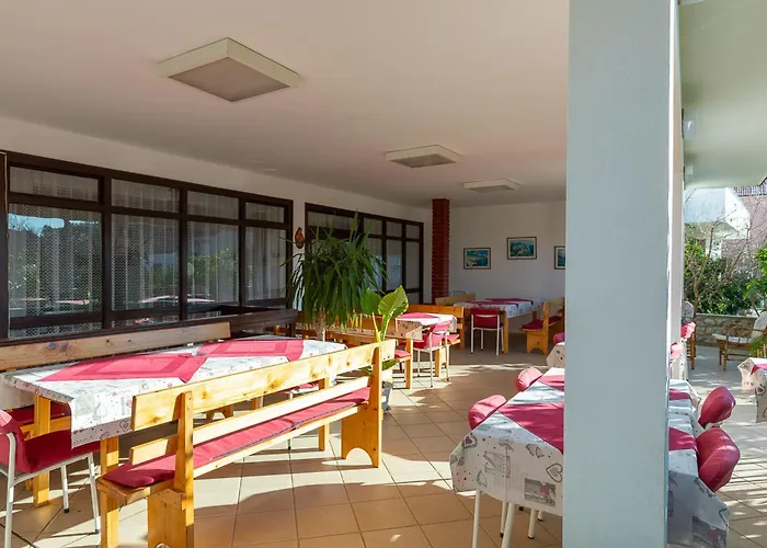 Tinka, No 5 Starigrad Paklenica